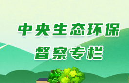 中央生态环保督察专栏